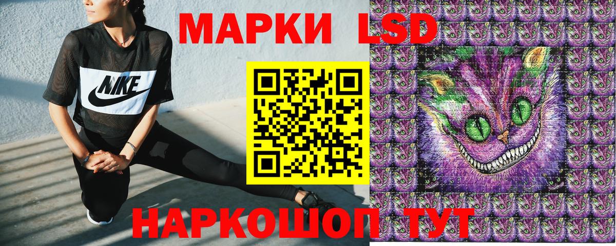 дарнет шоп  Вход с VPN  Ноябрьск  Наркотические марки 1,5мг  Наркотические марки 1,5мг 