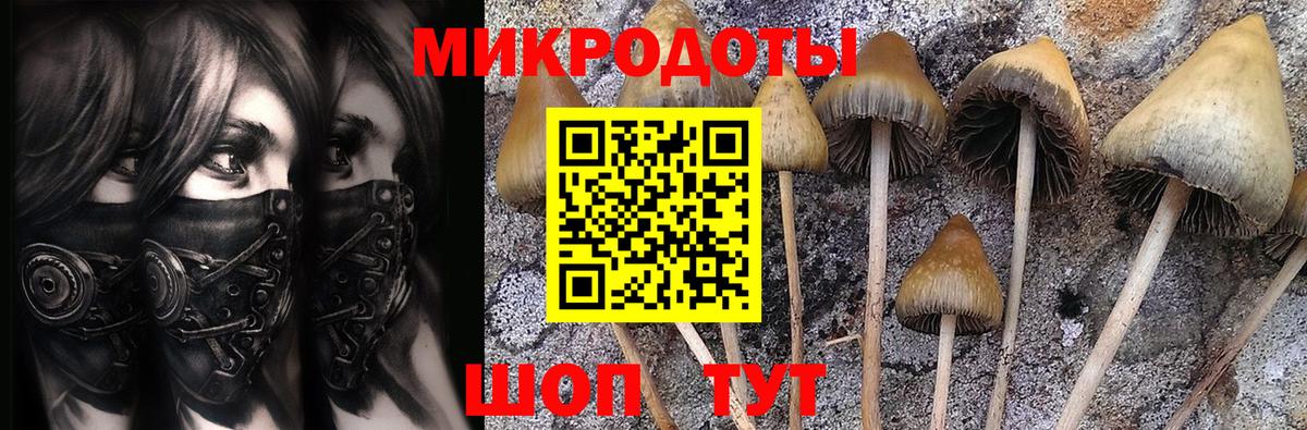 Ноябрьск  Псилоцибиновые грибы Magic Shrooms  Вход с VPN 
