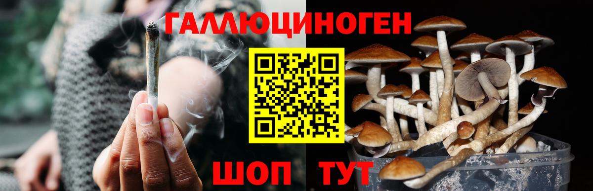 Галлюциногенные грибы Cubensis Ноябрьск